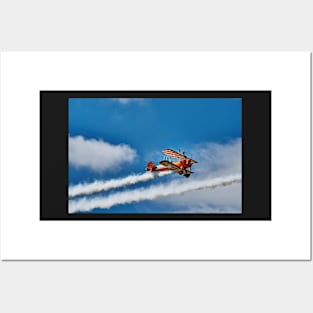 Wing Walking Posters and Art